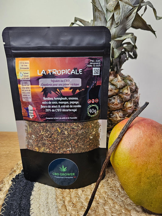 Infusion au CBD - La tropicale